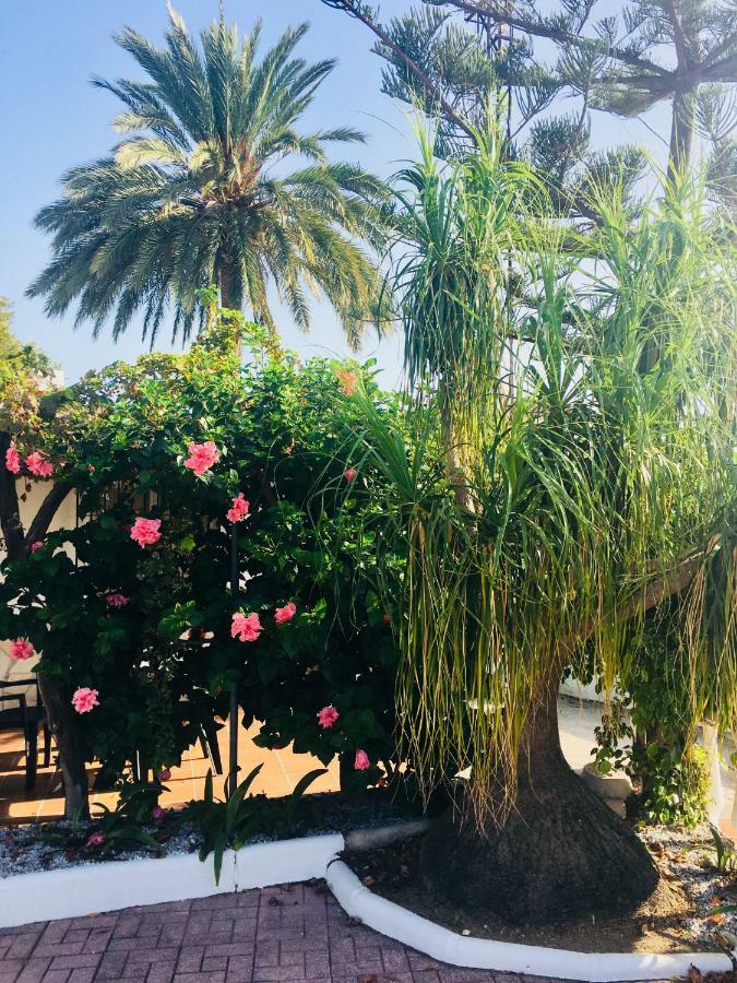 El Cortijo De Miguel Βίλα Nerja Εξωτερικό φωτογραφία